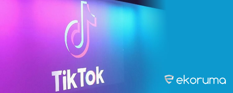 ABD'de tik tok uygulaması nasıl indirilir
